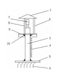 �������ǽY���D